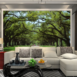 大型3d壁画草原田园自然风景电视影视沙发背景墙纸 卧室客厅壁纸