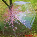 包邮花瓣长柄透明雨伞女自动创意折叠透明伞儿童超轻女生公主伞