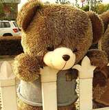结婚公仔大熊泰迪熊玩具娃娃毛绒熊1.6米抱抱熊 圣诞节女生日礼物