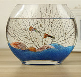 透明扁缸 扁形金鱼缸 生态创意 玻璃鱼缸 金鱼缸 水培缸花瓶 特价