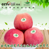 甘肃新鲜水果红富士苹果冰糖心纯天然农家特产优质果5斤装非栖霞