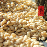 2015小麦仁去皮 新鲜小麦仁米五谷杂粮 东北农家有机小麦粒250 g