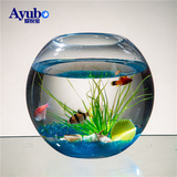 特级品 创意超透明圆形生态金鱼缸中小型玻璃鱼缸乌龟缸桌面水培