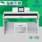 正品珠江艾茉森电钢琴IQ100 88键重锤键盘闪光亮灯成人数码钢琴
