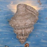 厂家欧式简约地中海田园海岩石风格海螺壁灯，时尚装饰背景墙壁灯