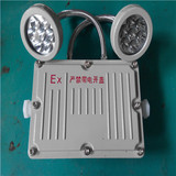 LED防爆应急灯 双头应急灯 IIB/C级 AC220V 带蓄电池 铸铝材质