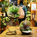 透明玻璃球花器微景观玻璃花房苔藓生态瓶吊多肉植物花盆加厚批发