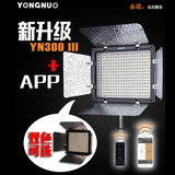 永诺 YN-300III 三代 LED摄像灯 摄影灯 可调色温 婚庆灯外拍灯