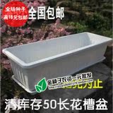 清库存50CM长花盆仅售15.5元 阳台种菜 长方形塑料盆 花盆 带托盘