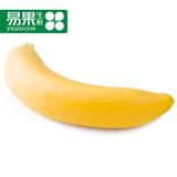 【易果生鲜】菲律宾香蕉6根进口香蕉 新鲜水果