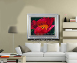 牡丹花 开富贵手绘欧式花卉油画 客厅卧室玄关样板房间有框装饰画
