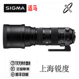 超值送UV镜 Sigma适马 150-600/5-6.3 DG OS HSM（S版）镜头
