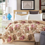 毛毯加厚双层夹棉法兰绒珊瑚绒冬季单人双人毯子绒床单绗缝毯床盖