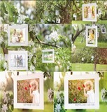 明媚清新唯美花枝相片吊挂儿童婚礼家庭电子相册展示AE模板A0255