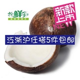 新鲜海南热带水果 椰青 大椰子 劈开可吃椰肉 新鲜椰汁10元/个