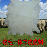 澳洲整张皮毛一体羊毛皮料手工diy羊毛垫皮羊剪绒褥子护膝垫皮块