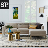 SPhome现代简约美欧式Marco北欧宜家布艺不锈钢转角沙发组合