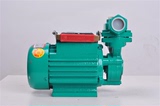 水泵/循环水泵/加压泵全铜750W自吸泵/家用增压泵/水井里抽 铸铁