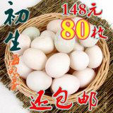 相川海产 初生蛋 头窝蛋 开窝蛋 红心 海鸭蛋 鸭蛋80枚(新鲜)包邮