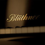BLUTHNER博兰斯勒立式钢琴三角钢琴德国直邮原装进口