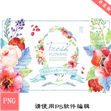 清新田园手绘彩绘水彩花卉花朵装饰花纹设计透明背景素材PNG0933