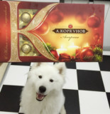 俄罗斯代购 大K 榛子巧克力酱夹心巧克力三种口味圣诞限量礼盒