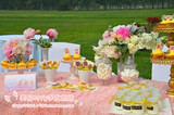 婚礼甜品台定制粉色香槟色宝宝宴甜品桌翻糖蛋糕cupcake摆台服务