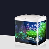鱼缸水族箱生态迷你创意小鱼缸小型金鱼微景水母缸办公室桌面
