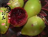 【水果小妹】野生仙人掌果 水果仙人果青果新鲜水果仙人掌果实2斤