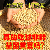 黄豆 非转基因农家自种 纯天然土黄豆 打豆浆发豆芽营养250杂粮