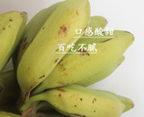 包邮芭蕉banana 广西新鲜水果有机青芭蕉 芭蕉大蕉大牛蕉 8斤装