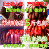 红香蕉 天宝产地直销 新鲜自然熟 红皮香蕉水果 土楼香蕉 5斤起拍