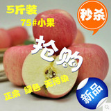 正宗烟台栖霞红富士有机新鲜苹果75#5斤包邮比王小二阿克苏冰糖心