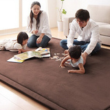 现代简约珊瑚绒面日式地毯榻榻米床垫子卧室客厅加厚地垫儿童床边