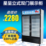 饮料柜立式冰柜 双门冷藏展示柜 商用便利冷饮水果食品冰箱保鲜柜