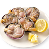 【天猫超市】天鹅蛋450g 贝类 水产海鲜 鲜贝 海里的天鹅蛋