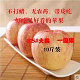 山东烟台栖霞红富士苹果85#10斤一级新鲜水果八省包邮绿色有机