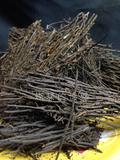 云南  蛇木片 优质种植土  兰花种植材料 多肉植物植料3#200g