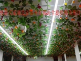 假葡萄叶子藤蔓壁挂塑料花藤吊顶装饰仿真水果蔬菜