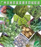 广州本地农家菜 新鲜蔬菜同城配送 绿色农家自种现摘月卡套餐包