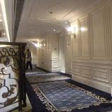 华伟手工腈纶走廊地毯 公司酒店客厅过道满铺 时尚简约欧式定制