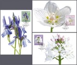 列支敦士登2014年发行植物花卉邮票鸢尾等极限片3全