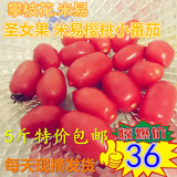 【天天特价】攀枝花圣女果樱桃小番茄西红柿新鲜水果蔬菜5斤包邮