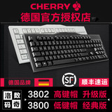 顺丰樱桃Cherry G80-3800/3802机械键盘黑轴青轴茶轴红轴游戏键盘