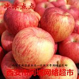 新鲜水果 陕西特产 洛川高原红富士苹果 2斤装 西安市同城超市