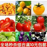 番茄种子 樱桃番茄 圣女果番茄 阳台盆栽四季种 蔬菜种子 水果苗