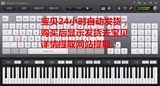 电脑键盘模拟钢琴软件/模拟钢琴乐器/电脑弹钢琴/键盘音乐软件潮