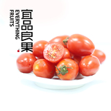 【宜品良果】精选海南 圣女果 小西红柿小番茄550g 新鲜水果