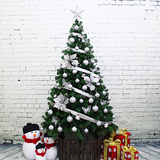 圣诞节橱窗装饰品1.8米圣诞树套餐豪华精装纯色银色180cm纯真年代