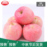 先秦贡果礼县红富士苹果 新鲜水果苹果 10斤24个包邮 产地直发